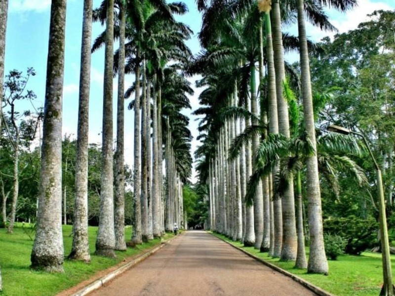 Aburi Botanical Gardens