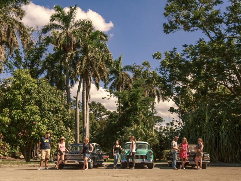 Oldtimer vor Palmen