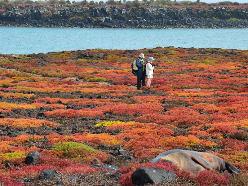  Beeindruckende Landschaft auf Galapagos