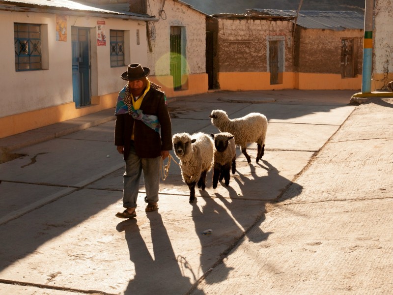 Guamote Street