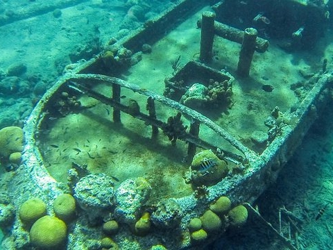 SNORKELLING, TUGBOAT & LOCAL DOLPHINS 