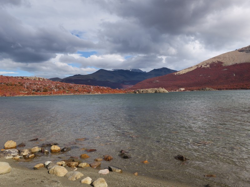 El Chalten - Laguna de los Tres