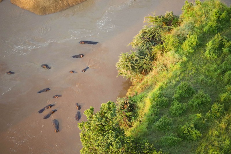 Hot Air Balloon Safari 