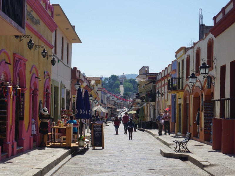 Local & Sustainable Foodie Experience