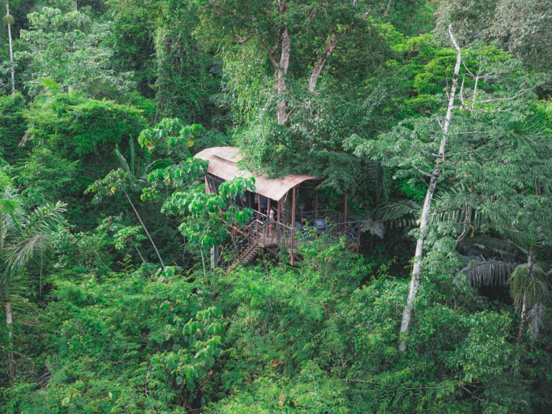 Maquenque Eco Lodge - Tree House