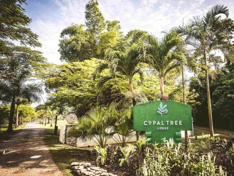 Copal Tree Lodge - Hoteleinfahrt