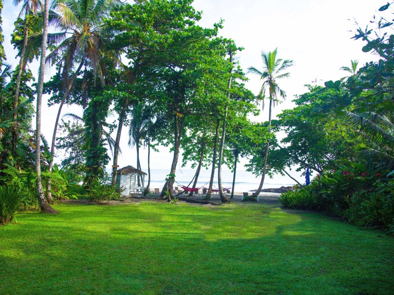 Le Cameleon Strand