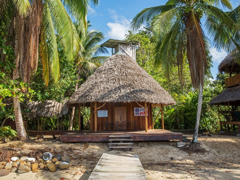 Al Natural - Dive Shop