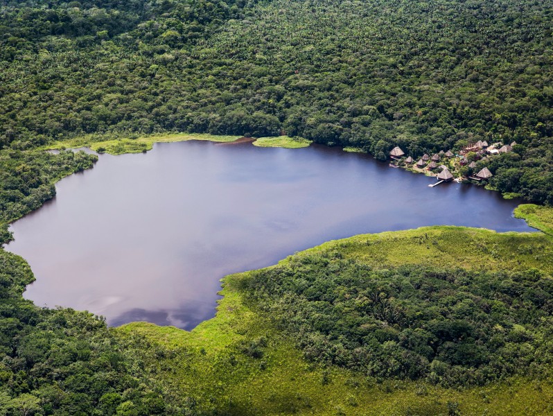 Napo Wildlife Lagune