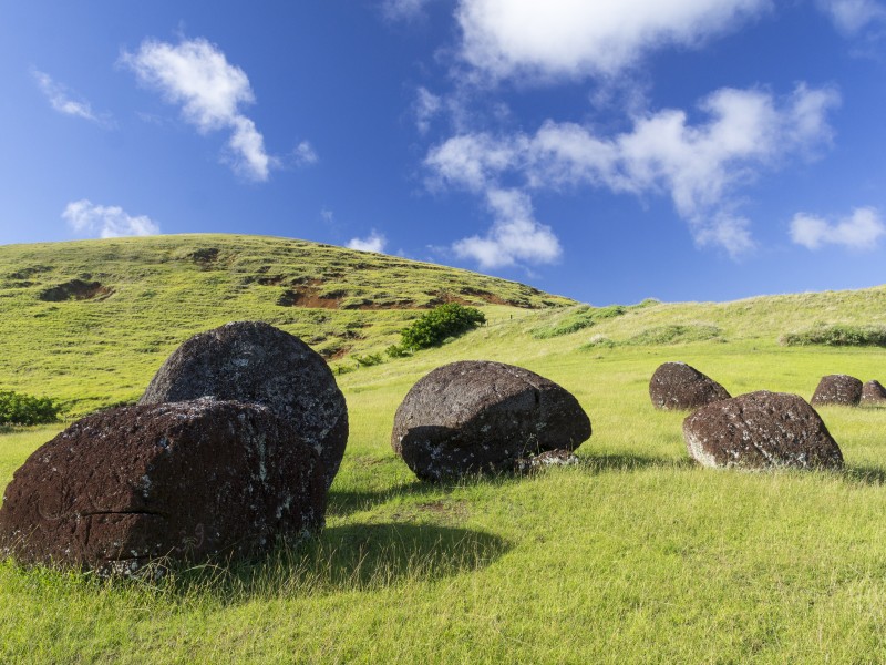Pukao Moai Statue Puna Pau