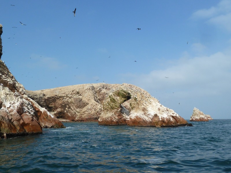 Islas Ballestas