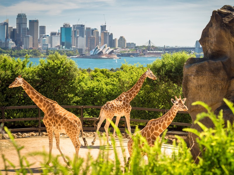 Australia - Sydney