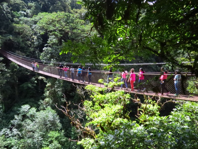 Boquete - Hängebrücke