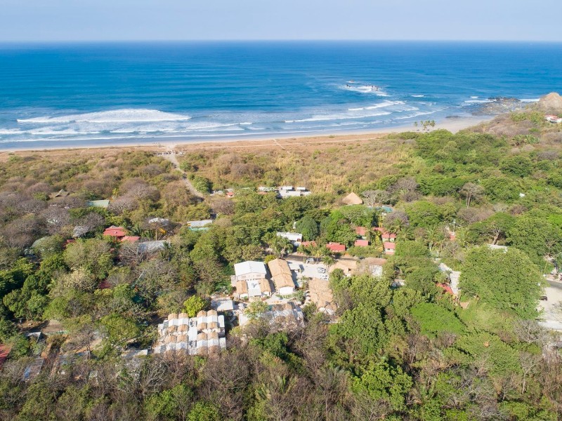 The Gilded Iguana - von oben