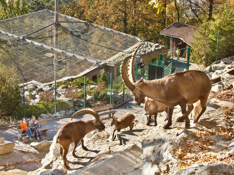 Alpenzoo Innsbruck