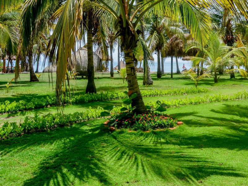 Punta Faro - Garten