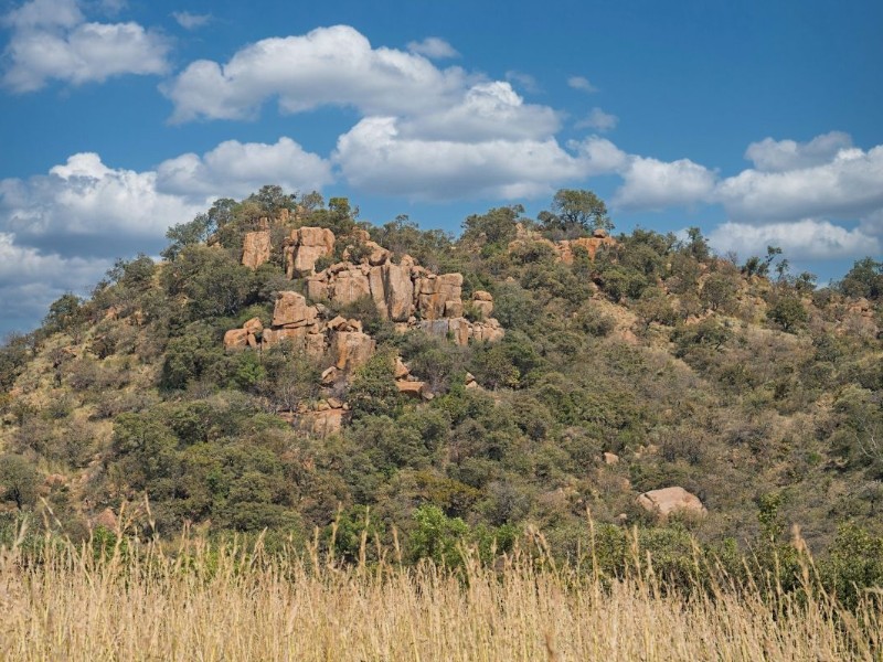 South Africa - Pilanesberg National Park