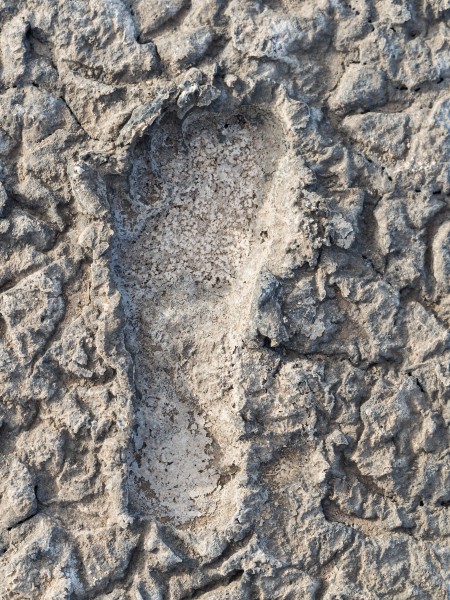 Hominid Footprints at Lake Natron