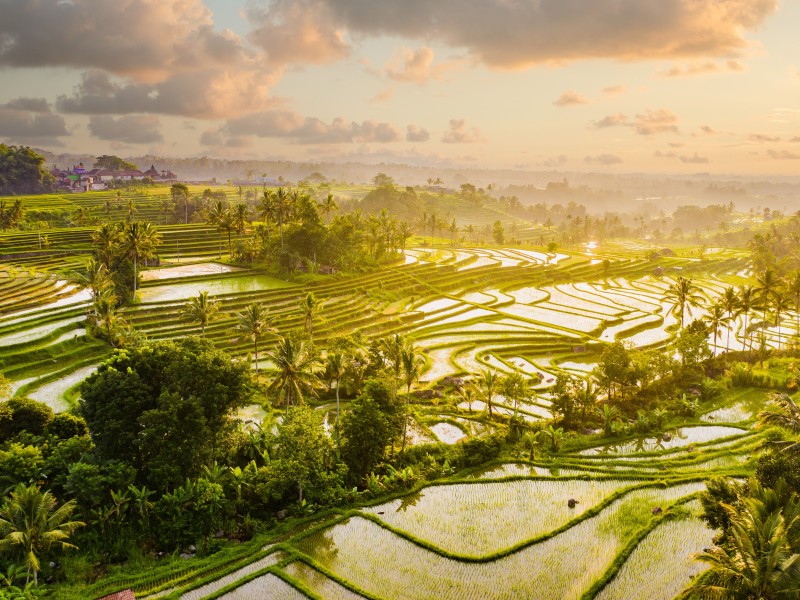 Bali - Jatiluwih