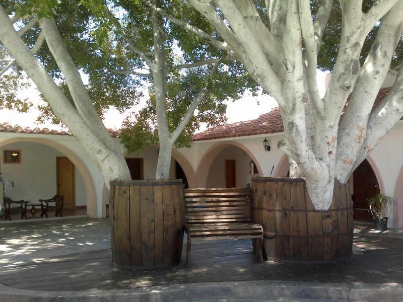 Misión Cataviña - Patio