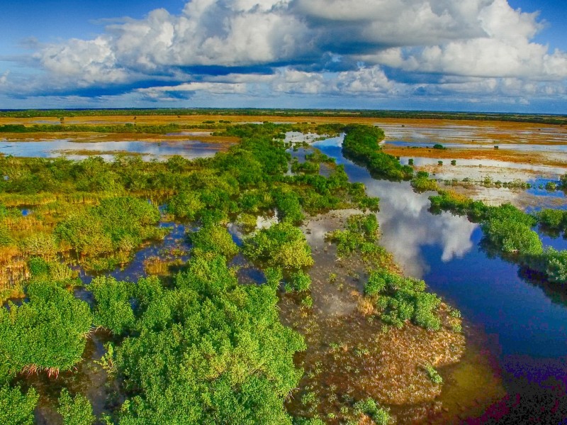USA - Florida - Everglades