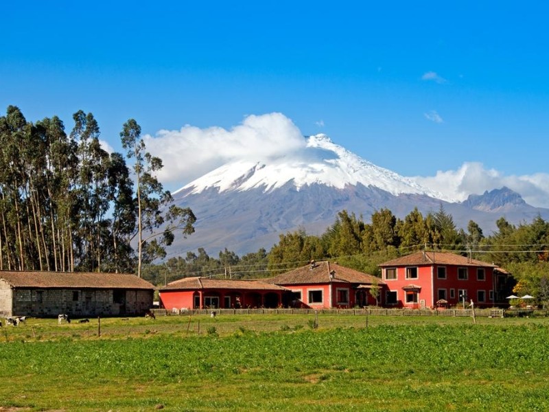  Blick auf den Vulkan Cotopaxi