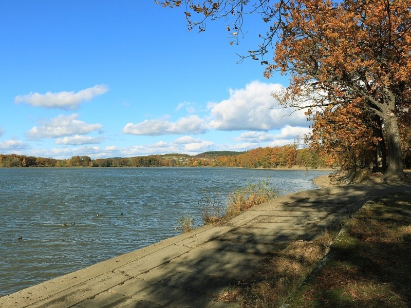 Nature in Hluboká nad Vltavou
