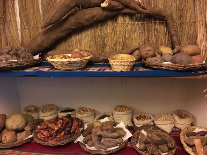 Cusco - Kochkurs Marcelo Bachata