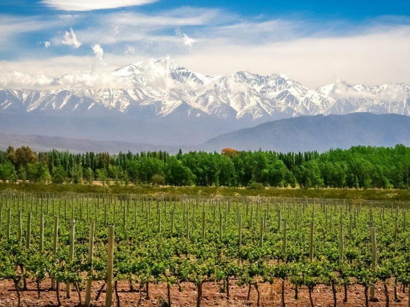 Weinregion Mendoza