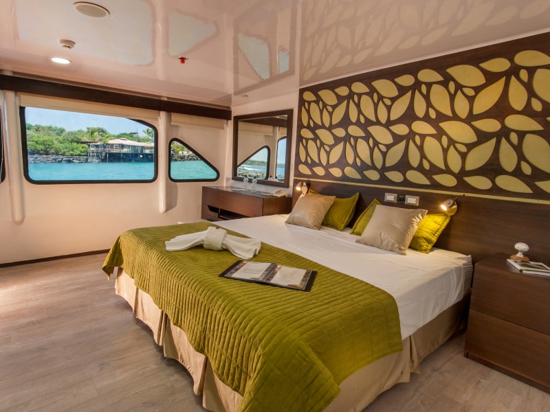 Double Cabin EcoGalaxy