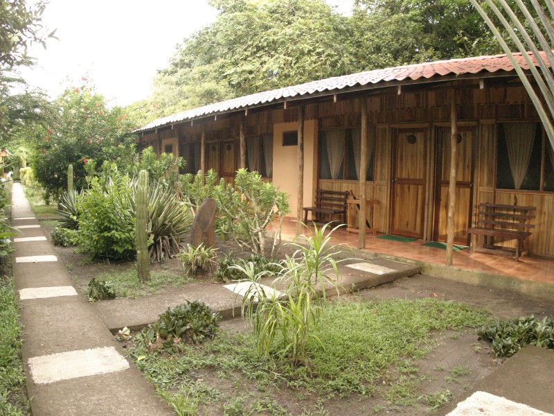 Turtle Beach Lodge - Bungalow
