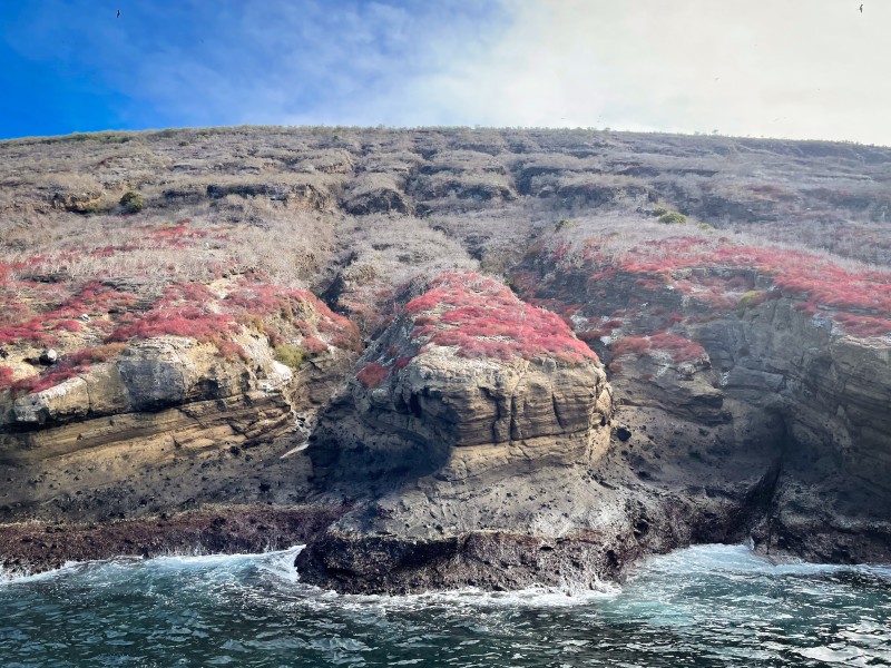 Inselhüpfen Galapagos Pur