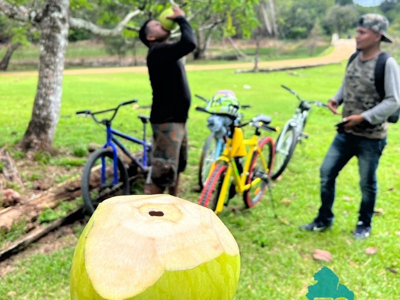 Drinking fresh coconut water