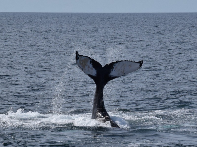 USA - East USA - Plymouth