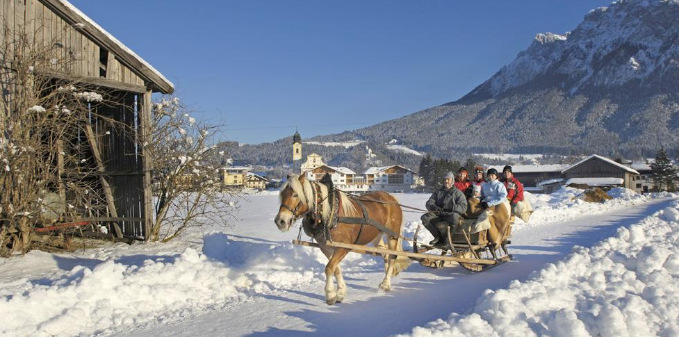 Horse-drawn Sleigh Rides 