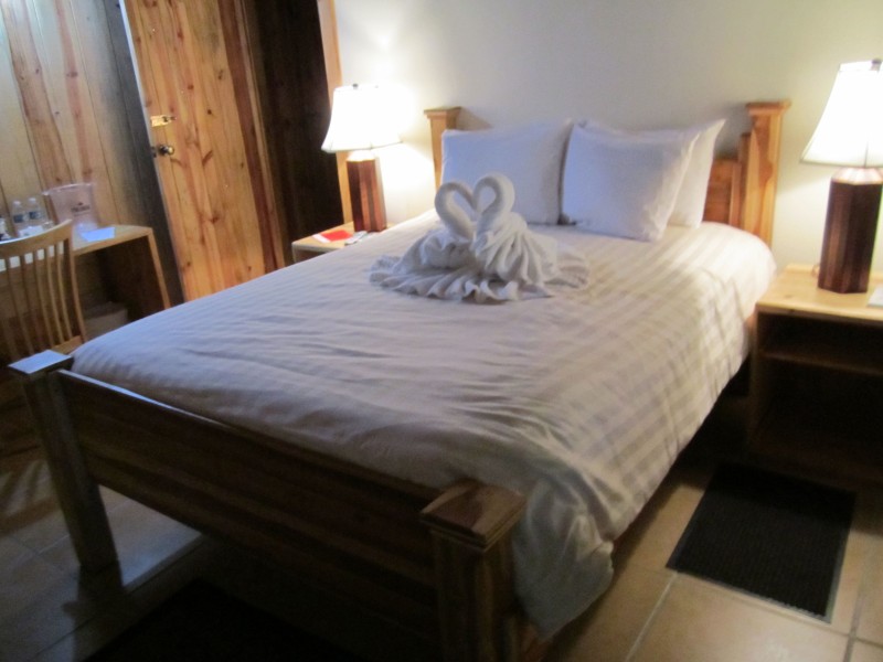 Tree Trek Mountain Resort - Standard 