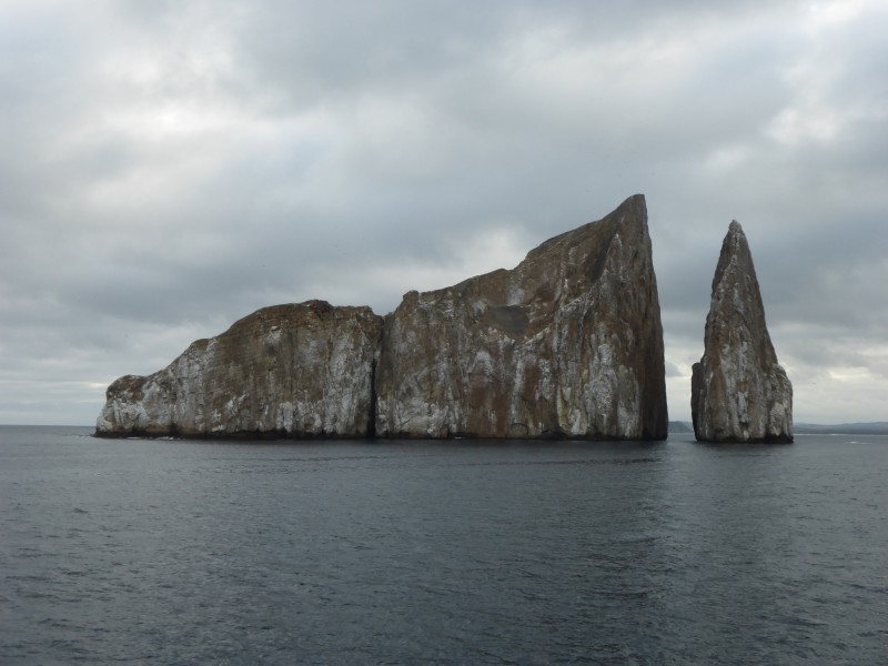 Galapagos - Leon Dormido