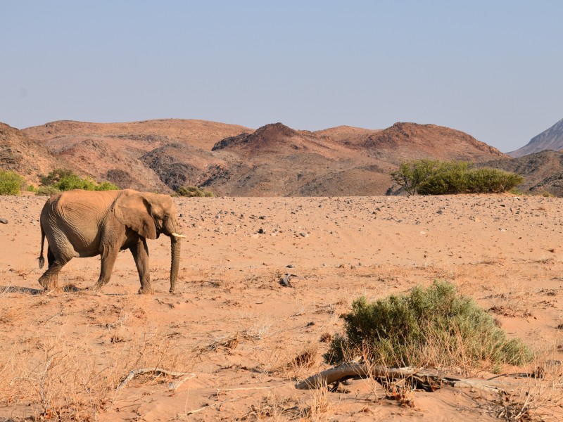 Namibia - Damaraland