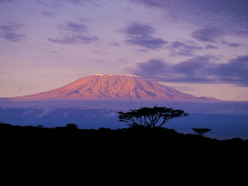 Kilimanjaro