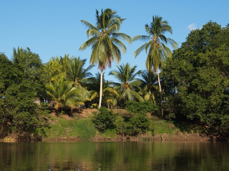 Costa Rica - Boca Tapada