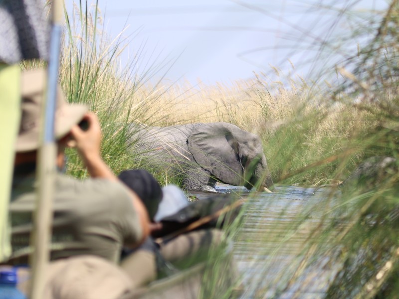 Botswana & Simbabwe – Auf den Spuren der Wildnis