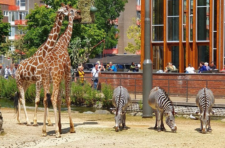 ARTIS Zoo and Museum, Amsterdam