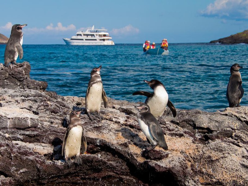 Seastar Journey Yacht