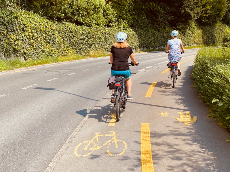 E-Bike Tour around Lake Lucerne and Beyo
