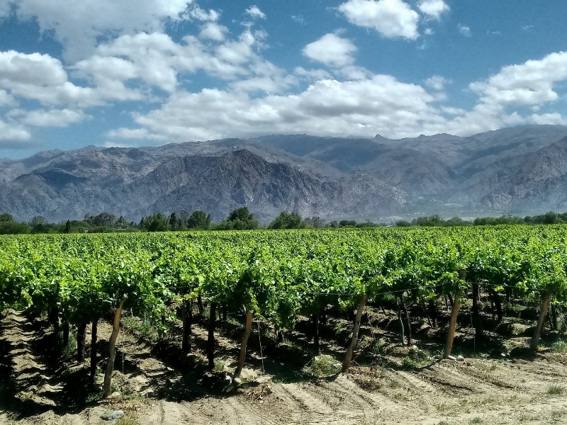 Cafayate