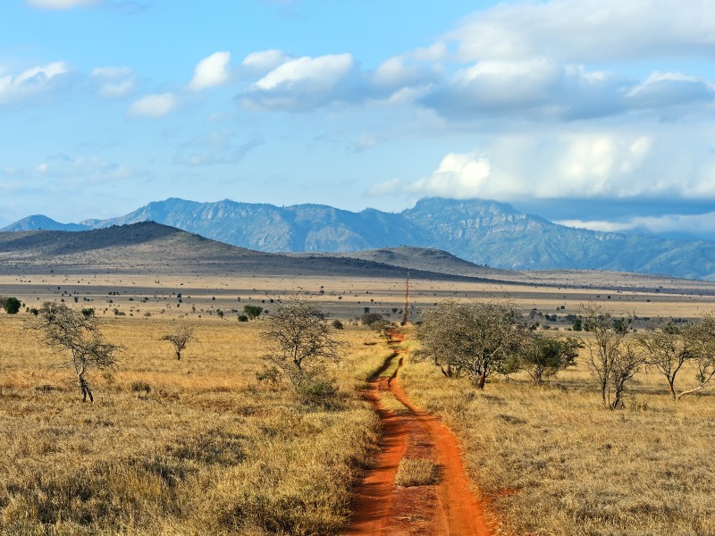 Kenya - Tsavo East