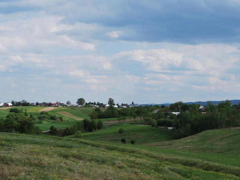 Bucovina Landscape