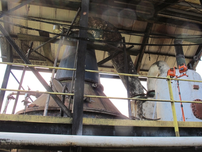 Visit to Hampden Estate Rum Distillery