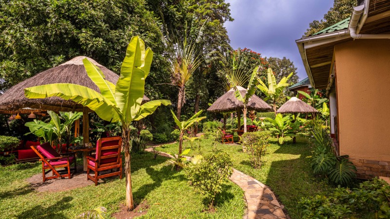 Garten von Africa Safari Arusha