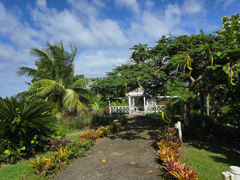Stony Hill St. Lucia